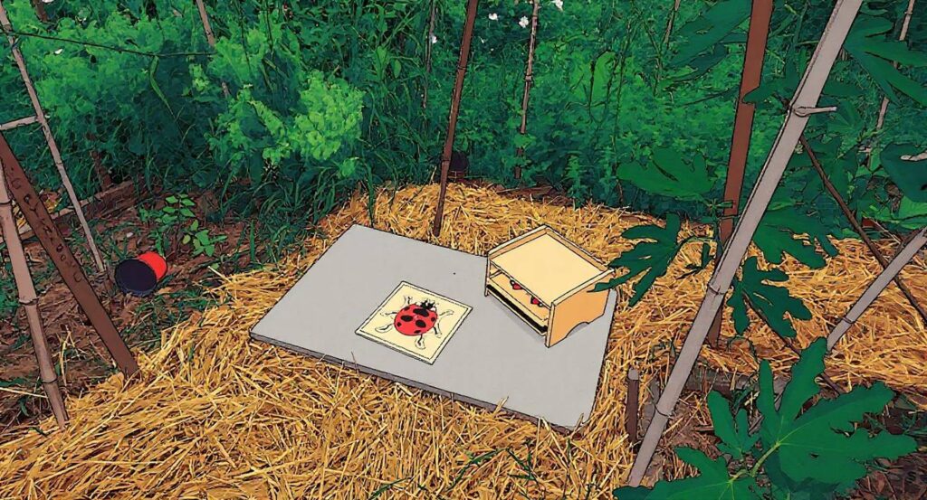 mediatheque 1-illustration-jardins-d-amphipolis